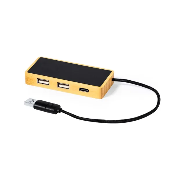 Hub usb Ginger