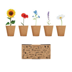 Kit de cultivo con semillas de flores en caja personalizada FLOWERS