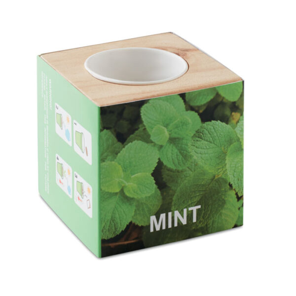 Maceta con semillas de menta personalizada ECO-GROW en caja de madera