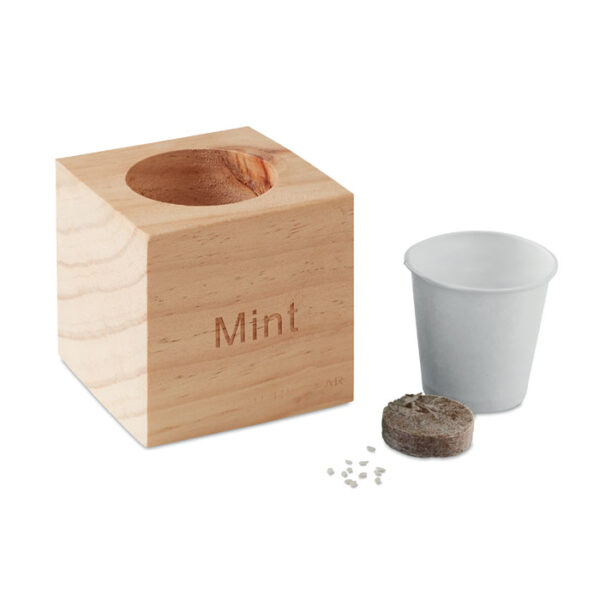 Maceta con semilla de MENTA - Imagen 3