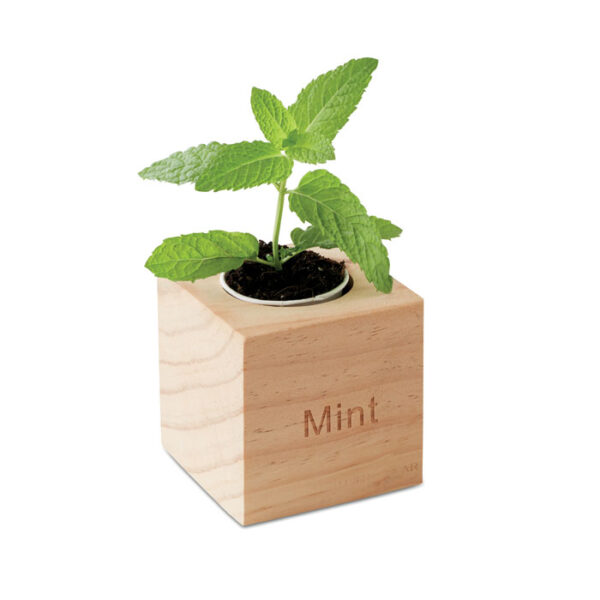 Maceta con semillas de menta personalizada ECO-GROW en caja de madera